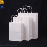 Sinicline paper Shopping Bag SB117